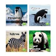 Black and White Animals