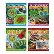 MY 1ST ANIMAL KINGDOM ENCYCLOP