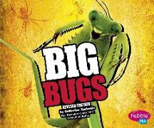 BIG BUGS