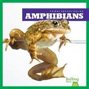 AMPHIBIANS