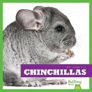 Chinchillas