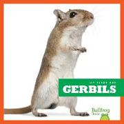 Gerbils