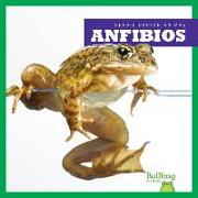 ANFIBIOS / AMPHIBIANS