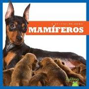 MAMIFEROS / MAMMALS