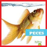 PECES / FISH