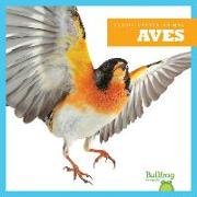 Aves (Birds)