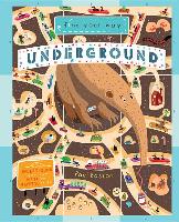 Find Your Way Underground: Travel Underground and Practice Your Math and Mapping Skills