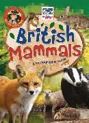 Nature Detective: British Mammals