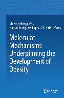 Molecular Mechanisms Underpinning the Development of Obesity