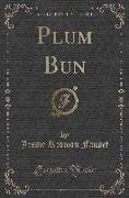 Plum Bun (Classic Reprint)