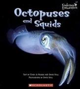 Octopuses and Squids (Undersea Encounters)