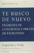 Te busco de nuevo : exámenes de conciencia y preces de escrutinio