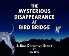 Mysterious Disappearance at Bird Bridge