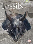 Bug Club Guided Non Fiction Year Two Gold A Fossils