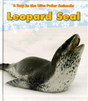 Leopard Seal