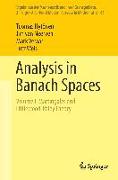 Analysis in Banach Spaces