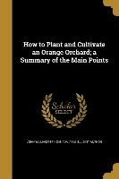 How to Plant and Cultivate an Orange Orchard, a Summary of the Main Points