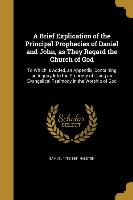 A Brief Explication of the Principal Prophecies of Daniel and John, as They Regard the Church of God: To Which is Added, an Appendix, Containing an In