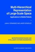 Multi-Hierarchical Representation of Large-Scale Space