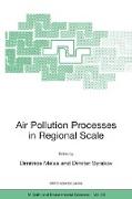 Air Pollution Processes in Regional Scale