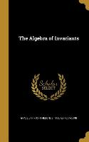 ALGEBRA OF INVARIANTS