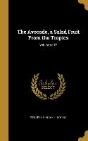 The Avocado, a Salad Fruit From the Tropics, Volume no.77