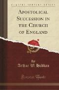Apostolical Succession in the Church of England (Classic Reprint)
