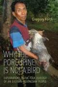 Why the Porcupine is Not a Bird