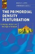 The Primordial Density Perturbation