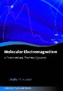 Molecular Electromagnetism: A Computational Chemistry Approach