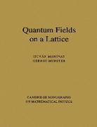 Quantum Fields on a Lattice