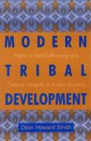 Modern Tribal Development: Paths to Self-Sufficiency and Cultural Integrity in Indian Country Volume 4