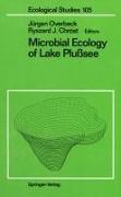 Microbial Ecology of Lake Plußsee