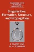 Singularities: Formation, Structure, and Propagation