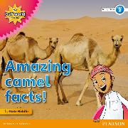 My Gulf World and Me Level 3 Non-fiction Reader: Amazing Camel Facts!