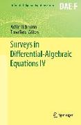 Surveys in Differential-Algebraic Equations IV
