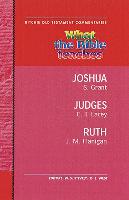 What the Bible Teaches -Joshua, Judges, Ruth: Wtbt Vol 6 OT Joshua, Judges, Ruth