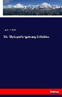 Die Myriapodengattung Lithobius