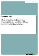 Homosexualität im Jugendalter. Sozialisation und Identitätsbildung homosexueller Jugendlicher