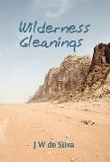 WILDERNESS GLEANINGS