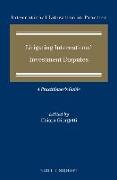 Litigating International Investment Disputes: A Practitioner's Guide