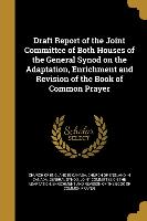 DRAFT REPORT OF THE JOINT COMM