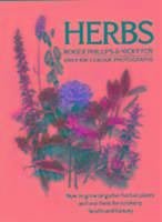 Herbs