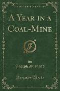 A Year in a Coal-Mine (Classic Reprint)