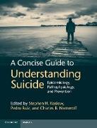 A Concise Guide to Understanding Suicide
