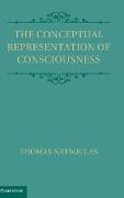 The Conceptual Representation of Consciousness