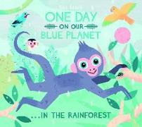 One Day On Our Blue Planet ...In the Rainforest