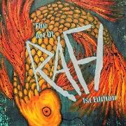 The Art Of Rafi 1st Edition
