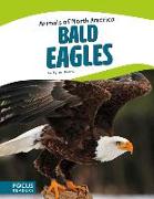 BALD EAGLES