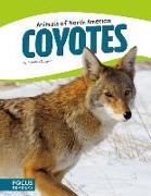 COYOTES